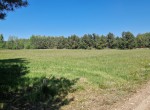 20250520_124327_Watermarked