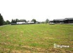 IMG_2251_Watermarked