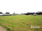 IMG_2253_Watermarked