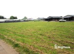 IMG_2254_Watermarked