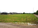 IMG_2256_Watermarked