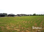 IMG_2258_Watermarked