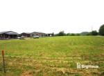 IMG_2259_Watermarked