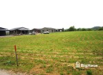 IMG_2260_Watermarked