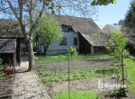 IMG_2489_Watermarked