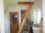 IMG_2517_Watermarked