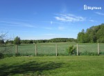 IMG_2547_Watermarked