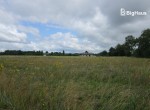 IMG_2741_Watermarked